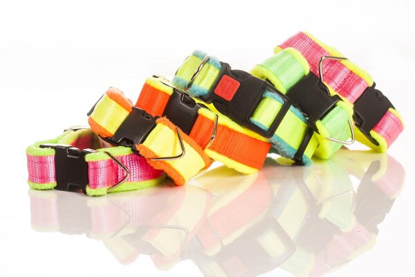 Weiches, gepolstertes Halsband neon aus Gurtband