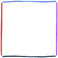 mehrfarbiges Obedience-Boxband-pruefungsordnungskonform-3x3m-25mm-breit