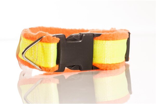 orange (Polster), gelb (Gurtband)